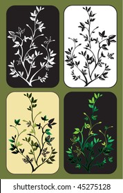 4 plants on different background