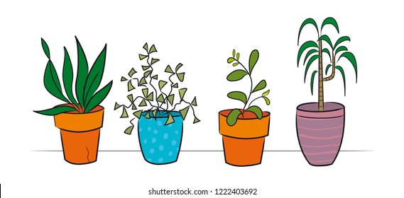4 plants in a row