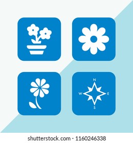 4 rose icons in vector set. flower and cardinal points on winds star symbol illustration for web and graphic design