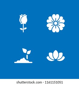 4 rose icons in vector set. floral, flower and bud illustration for web and graphic design