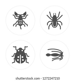 4 Scorpio, Ladybug, Spider, Squid modern icons on round shapes, vector illustration, eps10, trendy icon set.