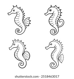 4 seahorse vector illustration line art