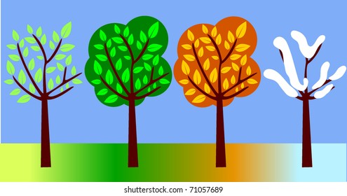 4 season trees