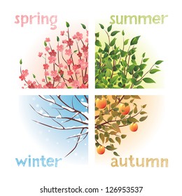 4 seasons in 1 tree