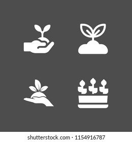 4 seed icons in vector set. plants, plant on a hand and sprout illustration for web and graphic design