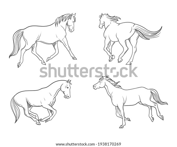 4 Set Horse Hand Drawn Vector Stock Vector (Royalty Free) 1938170269 ...