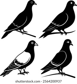 4 sets calm black silhouette of a pigeon