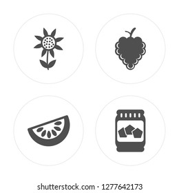 4 Sunflower, Watermelon, Grapes, Honey modern icons on round shapes, vector illustration, eps10, trendy icon set.