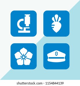 4 traditional icons in vector set. hat, vegetarian, japan and tools and utensils illustration for web and graphic design