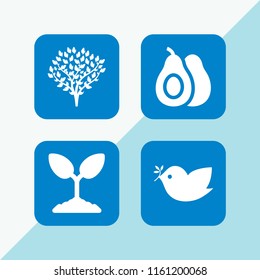 4 tropical icons in vector set. avocado, tree, plant and bird illustration for web and graphic design