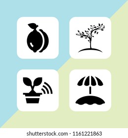 4 tropical icons in vector set. beach, tree and lemon illustration for web and graphic design