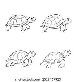 4 turtle vector illustration line art