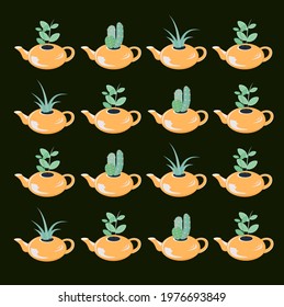 4 types of house plants in the teapots