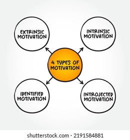 4 Types Motivation Mind Map Concept Stock Vector (Royalty Free ...