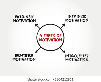 4 types of Motivation mind map concept for presentations and reports