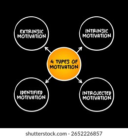 4 types of Motivation mind map concept for presentations and reports