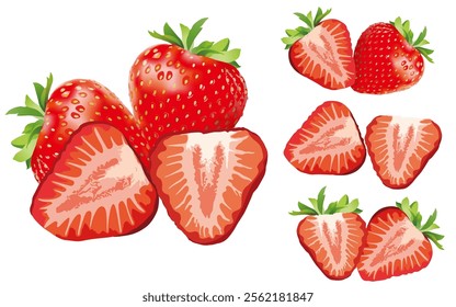 4 types of strawberry illustration designs