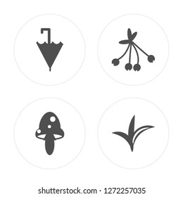 4 Umbrella, Mushroom, Rowan, Grass modern icons on round shapes, vector illustration, eps10, trendy icon set.