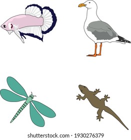 4 vector animals; fish, seagull, dragonfly and lizard