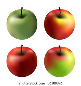 4 vector apples with different colors isolated on white