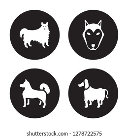 4 vector icon set : American Eskimo Dog dog, Akita Alaskan Klee Kai Afghan Hound dog isolated on black background