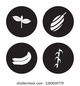 4 vector icon set : Basil, Banana, shallots, Bamboo isolated on black background