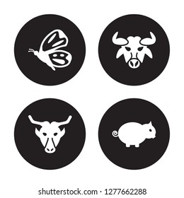 4 vector icon set : Butterfly, Buffalo, Bull, Boar isolated on black background