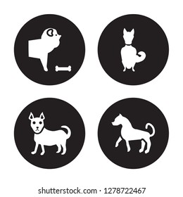 4 vector icon set : Chow dog, Chihuahua Chinook Cane Corso dog isolated on black background