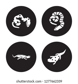 4 vector icon set : coral snake, iguana, cottonmouth, salamander isolated on black background