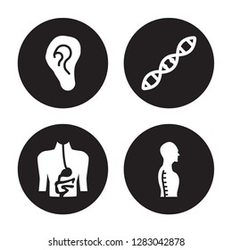 4 vector icon set : Ear lobe side view, Digestive System, Dna, Column inside a male human body in view isolated on black background