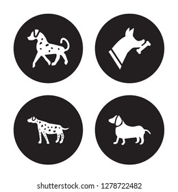 4 vector icon set : English Setters dog, Dalmatian Doberman Dachshund dog isolated on black background