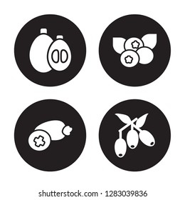 4 vector icon set : Loquat, Feijoa, Cranberry, Jujube isolated on black background