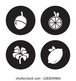 4 vector icon set : Lychee, Lettuce, Lime, Lemon isolated on black background