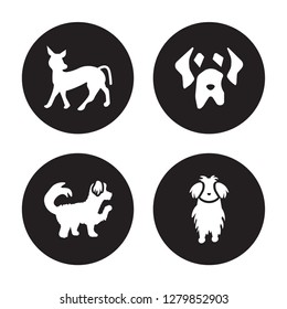 4 vector icon set : Mexican Hairless Dog dog, Maltipoo Mastiff Maltese dog isolated on black background