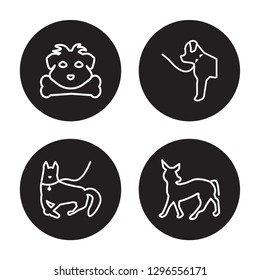 4 vector icon set : Nova Scotia Duck Tolling Retriever dog, Newfoundland dog isolated on black background,  Nova Scotia Duck Tolling Retriever dog, Newfoundland dog outline icons