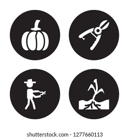 4 vector icon set : Pumpkin, Pruners, Pruning shears, plant Sprout isolated on black background