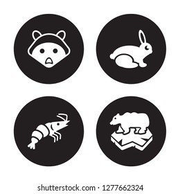 4 vector icon set : Racoon, Prawn, Rabbit, Polar bear isolated on black background
