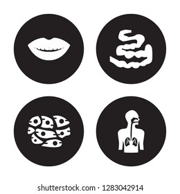4 vector icon set : Smiling mouth showing teeth, Skin Cells, Small Intestine, Respiratory System isolated on black background