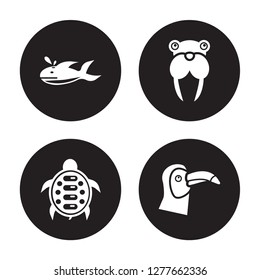 4 vector icon set : Whale, Turtle, Walrus, Toucan isolated on black background