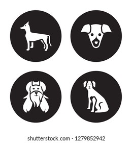 4 vector icon set : Xoloitzcuintli dog, West Highland White Terrier Whippet Weimeraner dog isolated on black background
