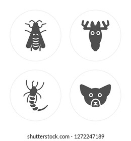 4 Wasp, Shrimp, Moose, Fennec Fox modern icons on round shapes, vector illustration, eps10, trendy icon set.
