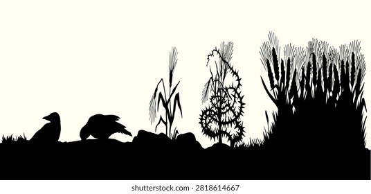 4 way type whole dry ripe rye barley ear wild weed grass good crop white sky. Black ink Pen line hand drawn spiritual god Jesus Christ Sower faith belief rural rocky land country destroy path road animal eat story gospel word corn food old art sketch