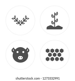 4 Wheat, Pig, Plant, Honeycomb modern icons on round shapes, vector illustration, eps10, trendy icon set.