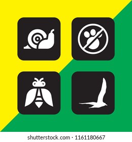 4 wildlife icons in vector set. snail, no animals, insect and bird illustration for web and graphic design