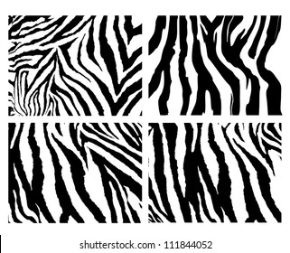 4 zebra pattern vector