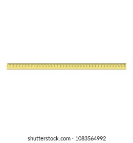 40 cm plastic ruler icon. Realistic illustration of 40 cm plastic ruler vector icon for web design isolated on white background