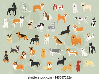 40 Dog Breeds Illustration Background