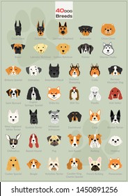 40 dog breeds illustration background