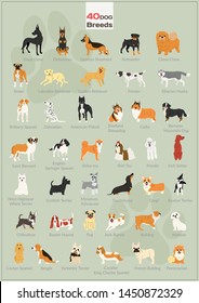 40 dog breeds poster design