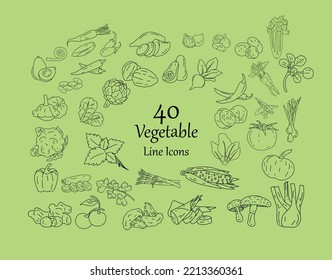 40 Vegetables Isolated Line Icon - Vegetarian Food, Vector, Veg Icons, Set, Illustration, Green Food